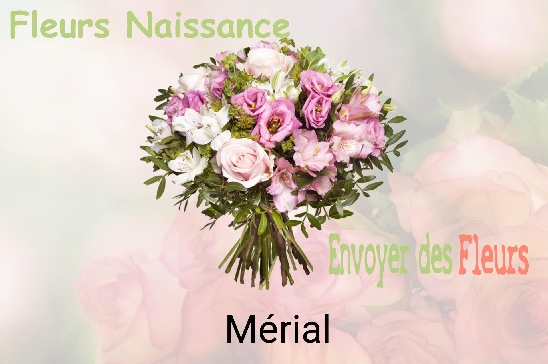Bouquet de fleurs de naissance livré à Mérial
